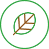 <CENTER style="margin-top:20px">Zieleń</CENTER>